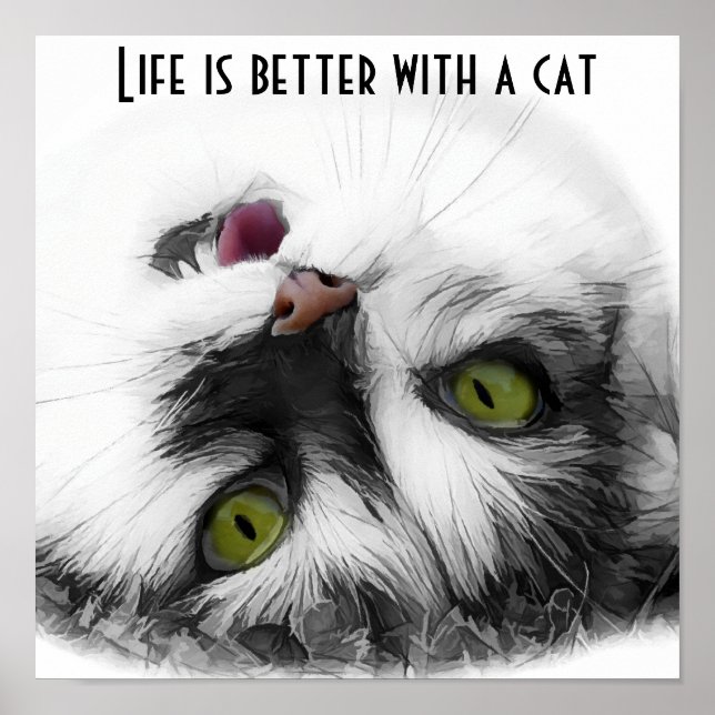 Funny Cat classic Poster (Front)