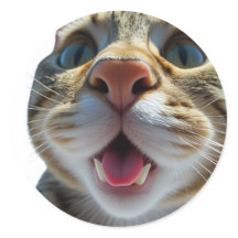 Funny Cat Close-Up | Goofy Cute Cat Art