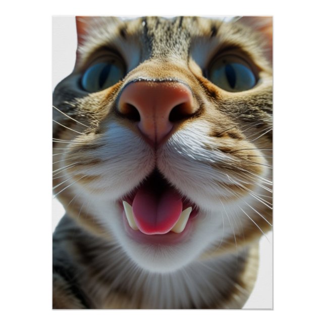 Funny Cat Close-Up | Goofy Cute Cat Art Poster (Front)