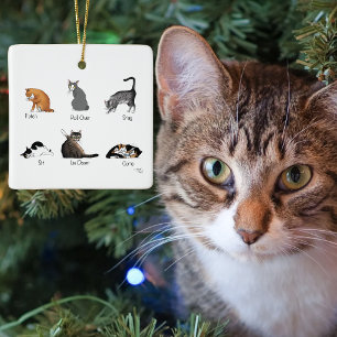 Funny Cat Commands Illustrated Training Chart Ceramic Ornament