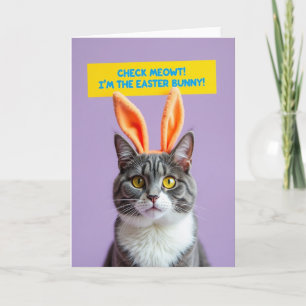 Funny Cat Costume Holiday Card