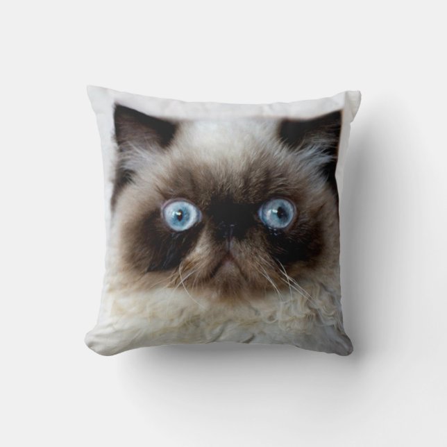 Funny Cat Cushion (Front)