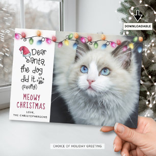 Funny Cat DEAR SANTA Christmas Lights Photo Holiday Card