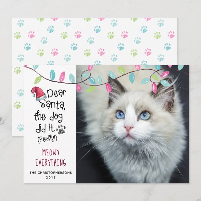 Funny Cat DEAR SANTA Lights Photo Holiday Card (Front/Back)