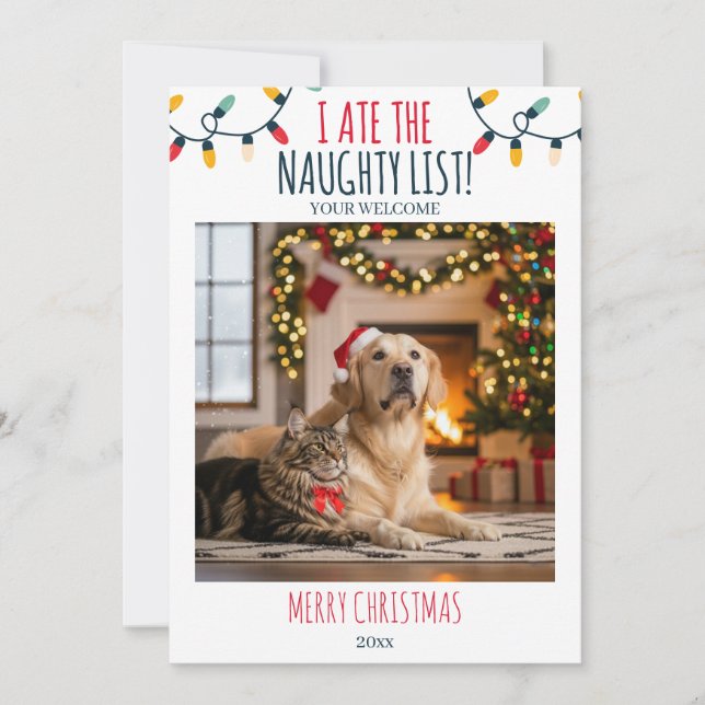 Funny Cat Dog Naughty List Custom Christmas Photo Holiday Card (Front)