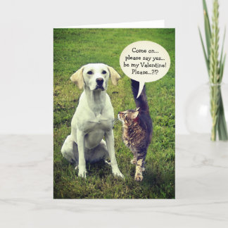 Funny Cat & Dog Valentine (customisable) Holiday Card