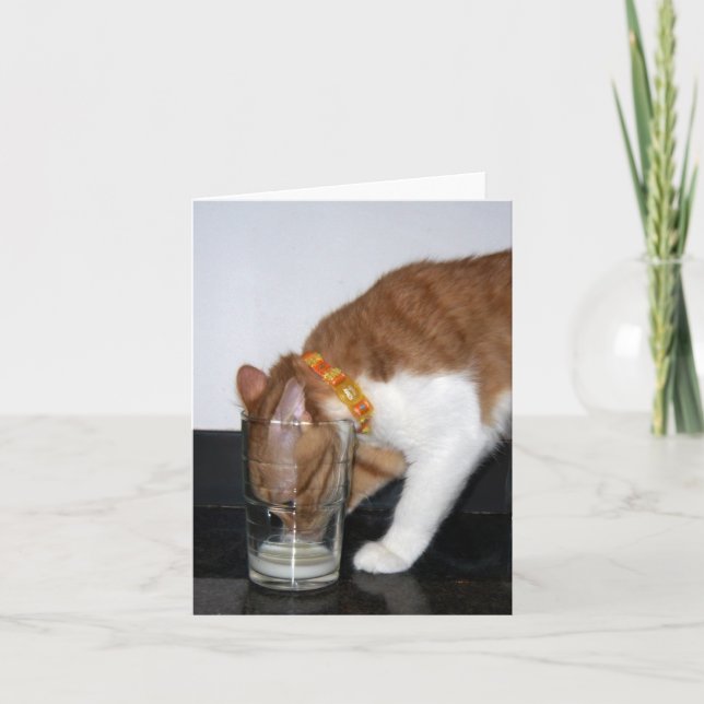 Funny Cat Drinking from Glass Blank Note Card (Front)
