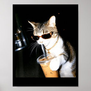 Funny Cat Drinking Iced Coffee Humour Meme Kitten Poster