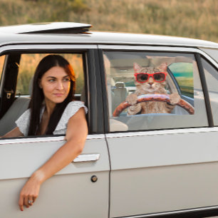 Funny Cat Driving Car Shade 16" x 12" Window Cling