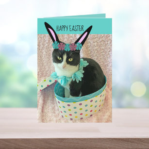 Funny Cat Easter Card