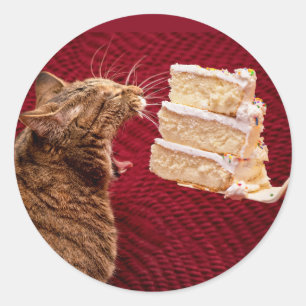 Funny Cat Eating a Big Piece of Cake Classic Round Sticker