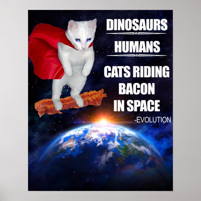 Funny Cat: Evolution Poster (Front)