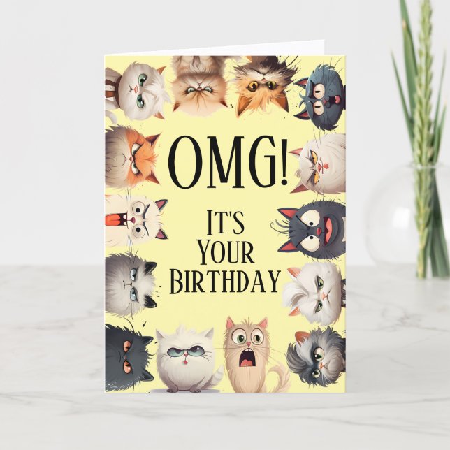 Funny Cat Faces Birthday Card (Front)