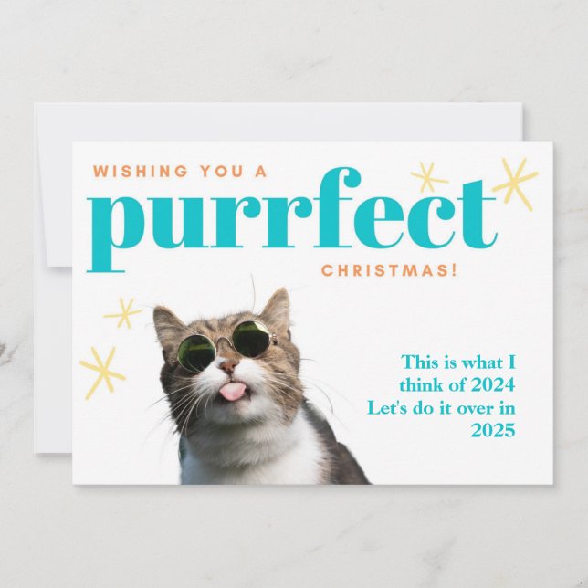 Funny Cat Farewell 202 Do it Over 2022 Christmas  Holiday Card (Front)