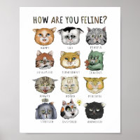 Funny Cat Feeling Chart How Are You Feline?