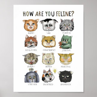 Funny Cat Feeling Chart How Are You Feline?