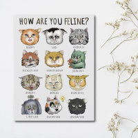 Funny Cat Feeling Chart How Are You Feline?