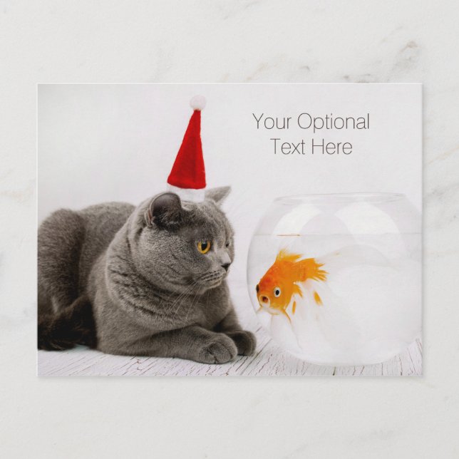 Funny Cat & Fish custom text Christmas postcard (Front)