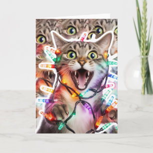 Funny Cat Folded Christmas Card