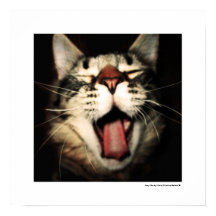 Funny Cat Fun Tongue Out Kitten Cool Poster Prints