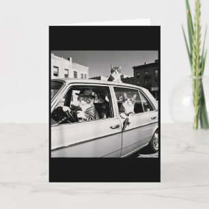 Funny Cat Gang Vintage Cool Feline Design Retro Card