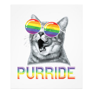 Funny Cat Gay Pride Rainbow Sunglasses LGBTQ Photo Print