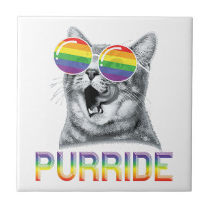 Funny Cat Gay Pride Rainbow Sunglasses LGBTQ Tile