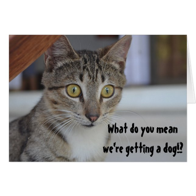 Funny Cat Getting a Dog Humour Surprise (Front Horizontal)