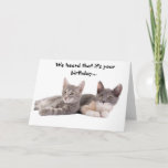 Funny Cat 'Give Us Tuna' Birthday Card<br><div class="desc">A funny birthday card for a cat lover. On the cover a two reclining cats. They say "We heard that it's your birthday... " . On the inside it says "We don't care. Give us tuna." A great card gift for cat lovers. Photo used with permission from © Frenc |...</div>