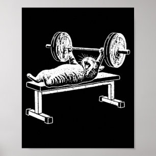 Funny cat gym workout bench press cat meme poster