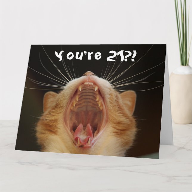 Funny Cat Happy 21st Birthday Card (Front)