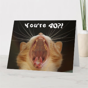 Funny Cat Happy 40th Birthday Card