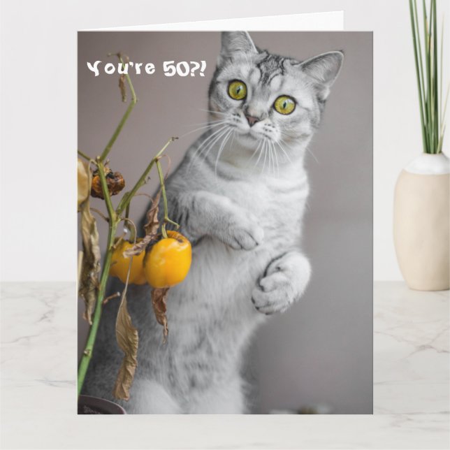 Funny Cat Happy 50th Birthday Card (Front)