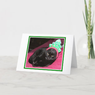 Funny Cat Holiday Christmas Card