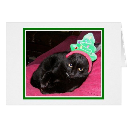 Funny Cat Holiday Christmas Card