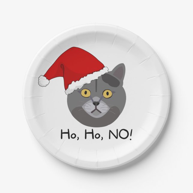 Funny Cat Holiday Christmas Plate (Front)