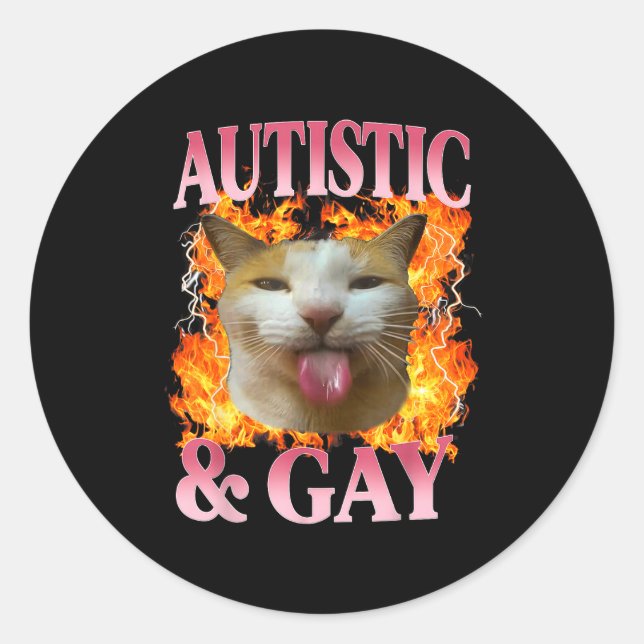 Funny Cat Humor Saying Autistic And Gay Cat Meme Q Classic Round Sticker (Front)