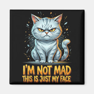 Funny Cat I Am Not Mad This is Just My Face Magnet