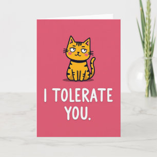 Funny Cat I Tolerate You Card