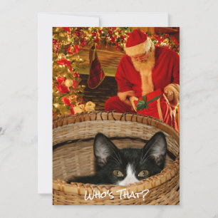Funny Cat in a Basket Santa Holiday Christmas Card