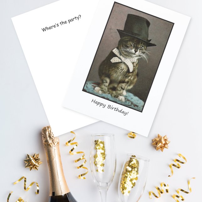 Funny Cat in Hat Birthday Card (Creator Uploaded)
