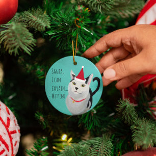 Funny Cat in Santa Hat Personalized Ornament