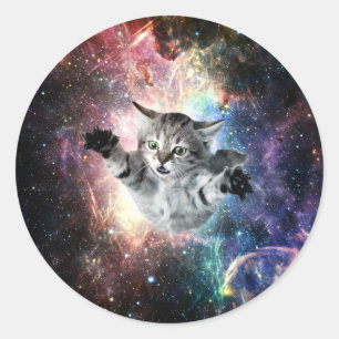 Funny cat in space classic round sticker