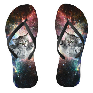 Funny cat in space flip flops