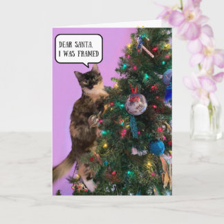Funny Cat in Trouble with Santa Christmas Card