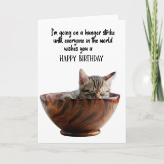 Funny Cat Inside A Bowl Birthday Greeting Card 