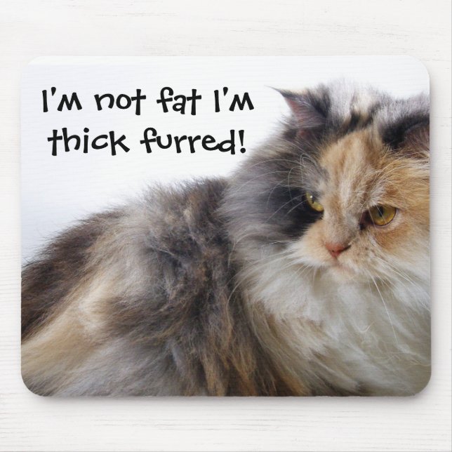 Funny Cat is Not Fat! Thick Furred Mouse Mat (Front)