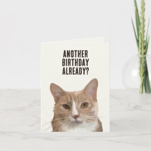 Funny Cat Kitten Me Pun Birthday Card