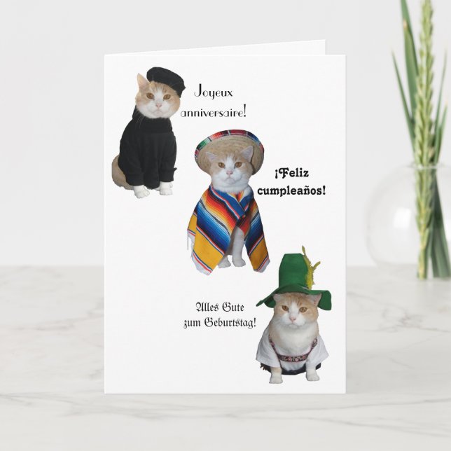 Funny Cat/Kitty Happy Birthday in Six Languages Card (Front)