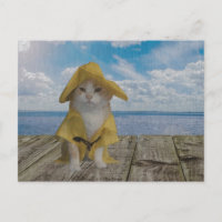 Funny Cat/Kitty in Yellow Slicker
